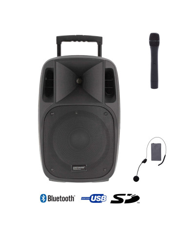 Sono Portable 15’’ sur Batterie + 1 Micro Main VHF + 1 Micro Serre-tête