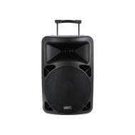 Portable Lecteur SD/USB/Bluetooth + 2 Micros Main UHF