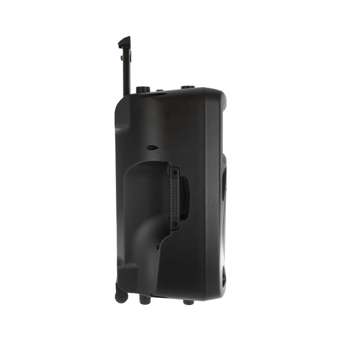 Portable Lecteur SD/USB/Bluetooth + 2 Micros Main UHF
