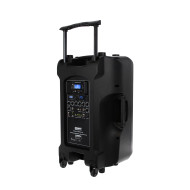 Portable Lecteur SD/USB/Bluetooth + 2 Micros Main UHF