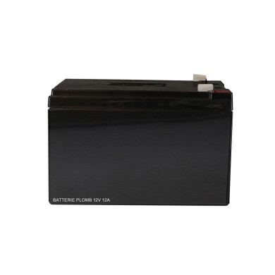 Batterie Plomb 12V 12A