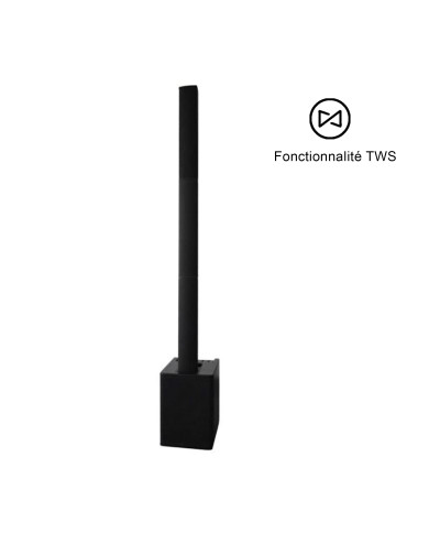 Système Colonne TWS