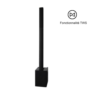 Système Colonne TWS