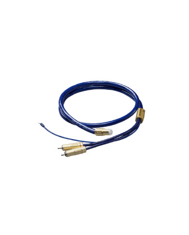 Câble RCA - 5PIN