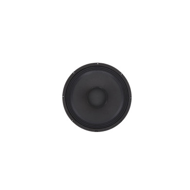 Haut-Parleur Pour Inpulse 10 BA DSP