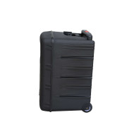 Sono Portable CD MP3 + USB + Bluetooth + DIVX + 2 Micros Main UHF