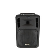 Sono Portable CD MP3 + USB + Bluetooth + DIVX + 2 Micros Main UHF