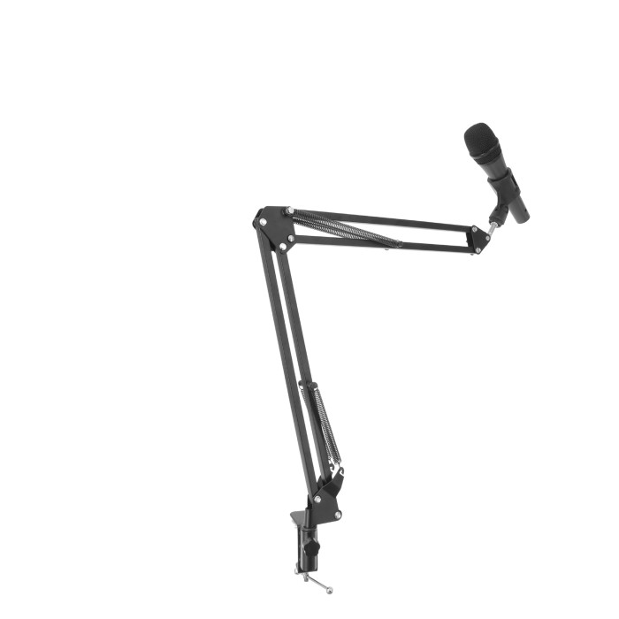 Pied De Micro Broadcast