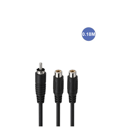 1 Rca Male/ 2 Rca Femelle 0.18m