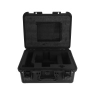 Laser d'Animation Professionnel Sur Batterie Avec Flight-Case IP65
