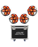 Pack de 4 ARDECO 7GLD + Flight