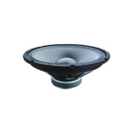 Haut-Parleur 38 Cm 300 Watts RMS