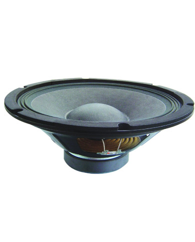 Haut-Parleur 30 Cm 110 Watts RMS