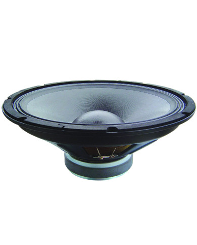 Haut-Parleur 38 Cm 300 Watts RMS