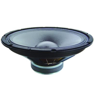 Haut-Parleur 25 Cm 300 Watts RMS - EW 15 EP