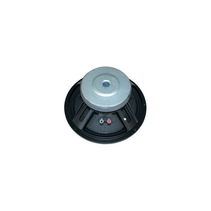 Haut parleur 38 cm – 900W