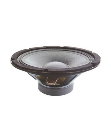 Haut-Parleur 25 Cm 75 Watts RMS